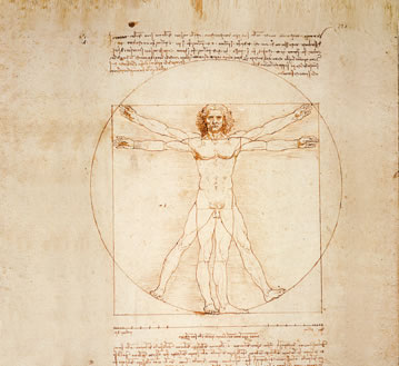 wonderkam_leonardo_vitruvian_man_1