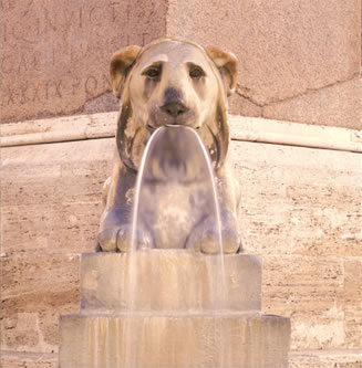 wonderkam_roma_leone_fontana_piazza_popolo